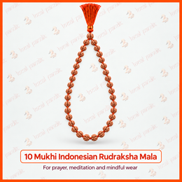 10 Mukhi Indonesian Rudraksha Mala
