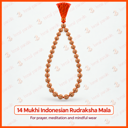14 Mukhi Indonesian Rudraksha Mala