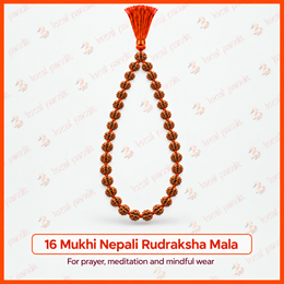 16 Mukhi Nepali Rudraksha Mala