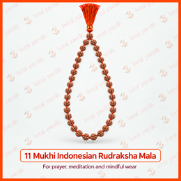 11 Mukhi Indonesian Rudraksha Mala