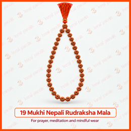 19 Mukhi Nepali Rudraksha Mala