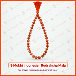 9 Mukhi Indonesian Rudraksha Mala