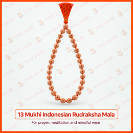 13 Mukhi Indonesian Rudraksha Mala