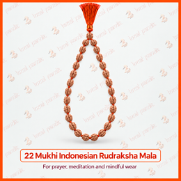 22 Mukhi Indonesian Rudraksha Mala