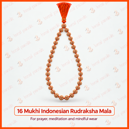 16 Mukhi Indonesian Rudraksha Mala