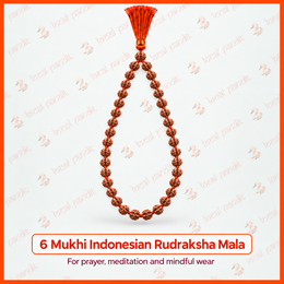 6 Mukhi Indonesian Rudraksha Mala