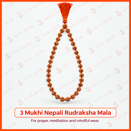 3 Mukhi Nepali Rudraksha Mala