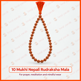 10 Mukhi Nepali Rudraksha Mala