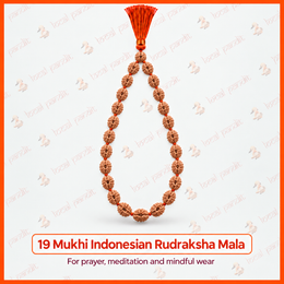 19 Mukhi Indonesian Rudraksha Mala