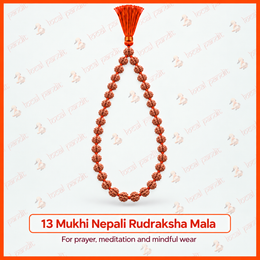 13 Mukhi Nepali Rudraksha Mala