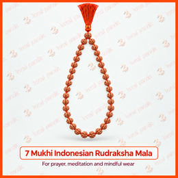 7 Mukhi Indonesian Rudraksha Mala