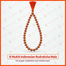 8 Mukhi Indonesian Rudraksha Mala