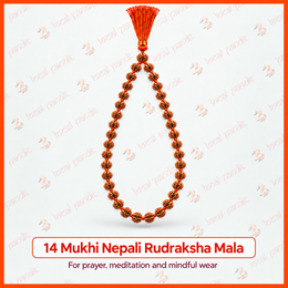 14 Mukhi Nepali Rudraksha Mala
