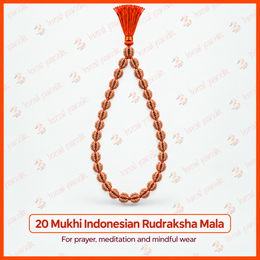 20 Mukhi Indonesian Rudraksha Mala