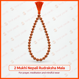 2 Mukhi Nepali Rudraksha Mala