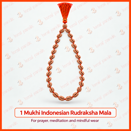 1 Mukhi indonesian Rudraksha mala