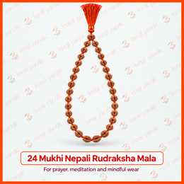 24 Mukhi Nepali Rudraksha Mala
