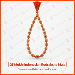 23 Mukhi Indonesian Rudraksha Mala