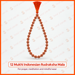 12 Mukhi Indonesian Rudraksha Mala