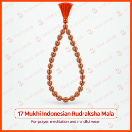 17 Mukhi Indonesian Rudraksha Mala