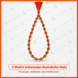 2 Mukhi Indonesian Mala