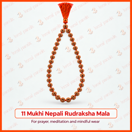 11 Mukhi Nepali Rudraksha Mala