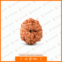 10 Mukhi Rudraksha (Indonesian)