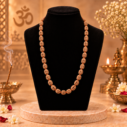 22 Mukhi Indonesian Rudraksha Mala