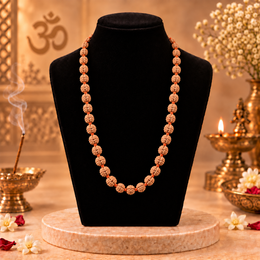 16 Mukhi Indonesian Rudraksha Mala