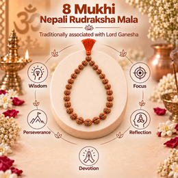 8 Mukhi Nepali Rudraksha Mala