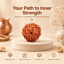 9 Mukhi Rudraksha (Indonesian)