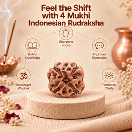 4 Mukhi Rudraksha (Indonesian)