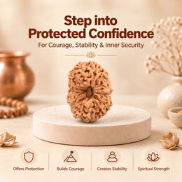 16 Mukhi Rudraksha (Indonesian)