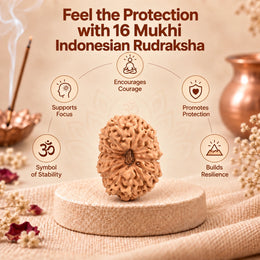 16 Mukhi Rudraksha (Indonesian)