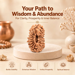 20 Mukhi Rudraksha (Indonesian)
