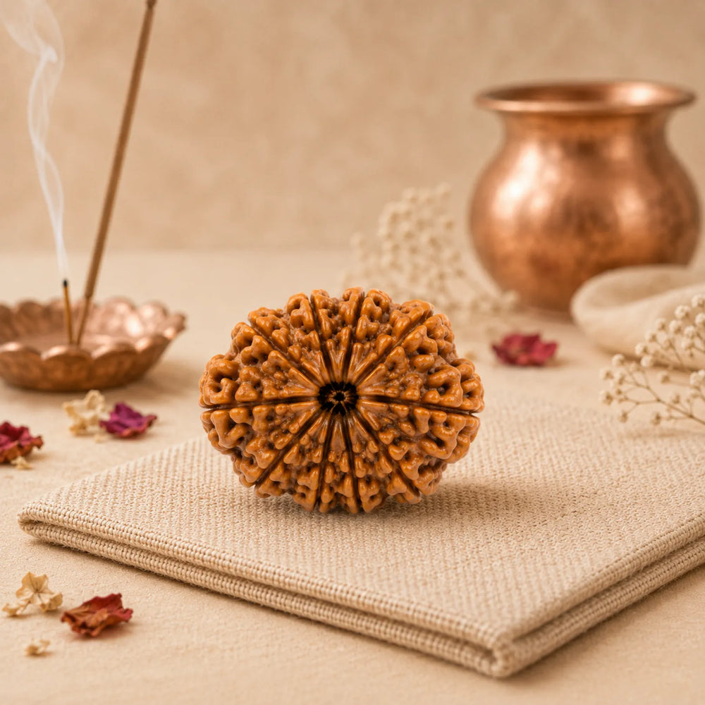 10 Mukhi Rudraksha