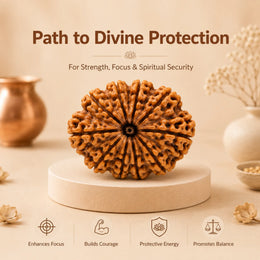 10 Mukhi Rudraksha (Nepali)