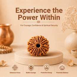 11 Mukhi Rudraksha (Nepali)