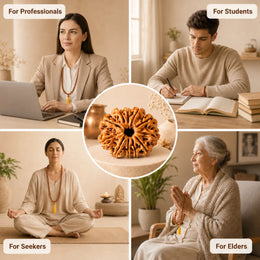 11 Mukhi Rudraksha (Nepali)
