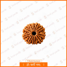 11 Mukhi Rudraksha (Nepali)