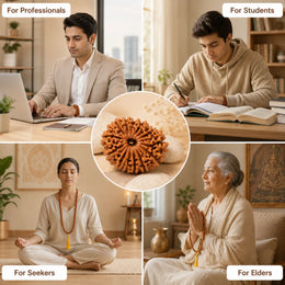 12 Mukhi Rudraksha (Nepali)