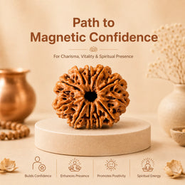 13 Mukhi Rudraksha (Nepali)