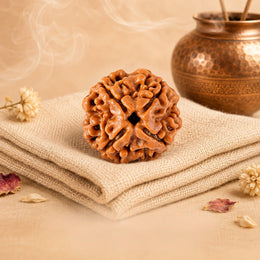 4 Mukhi Rudraksha (Nepali)