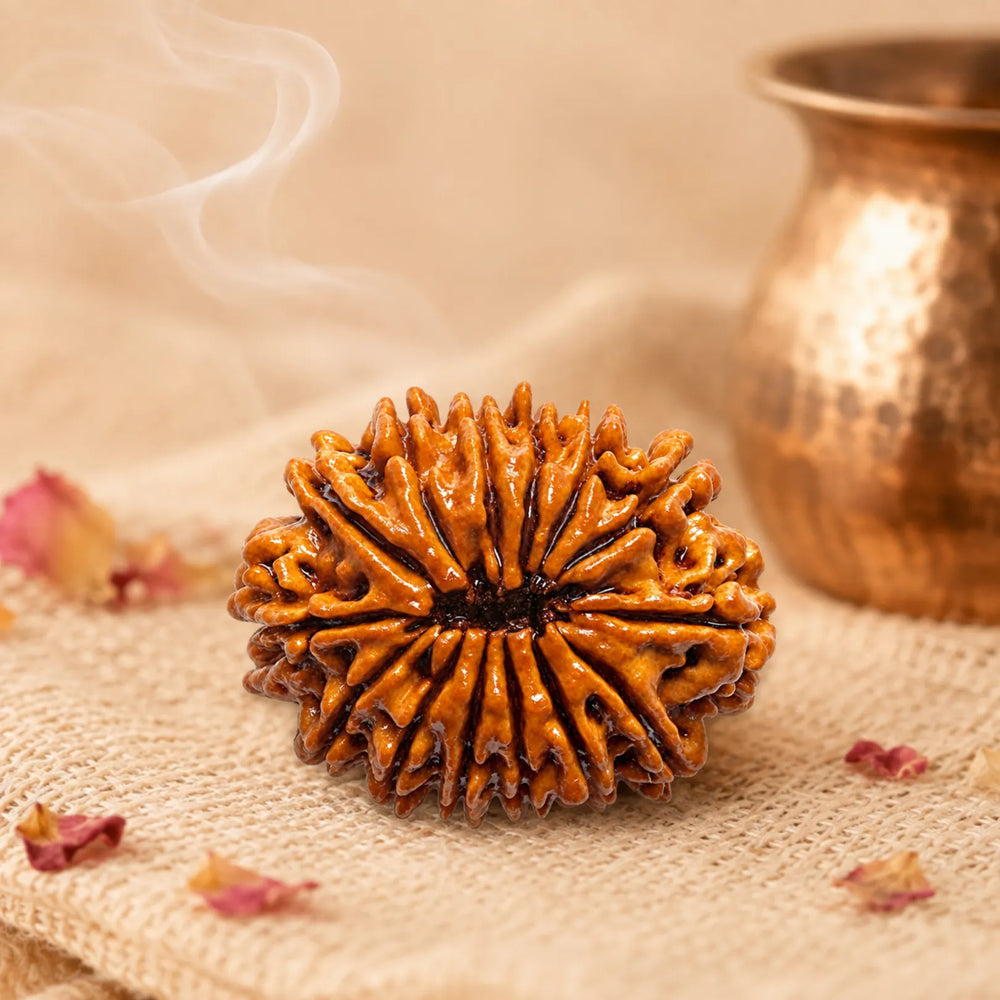 4 Mukhi Rudraksha