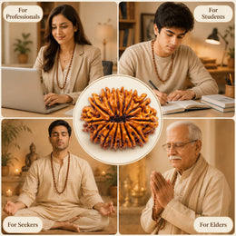 14 Mukhi Rudraksha (Nepali)