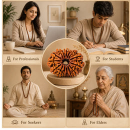 15 Mukhi Rudraksha (Nepali)