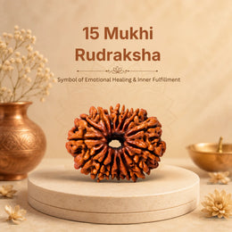 15 Mukhi Rudraksha (Nepali)