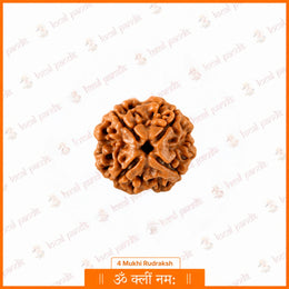 4 Mukhi Rudraksha (Nepali)