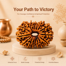 16 Mukhi Rudraksha (Nepali)