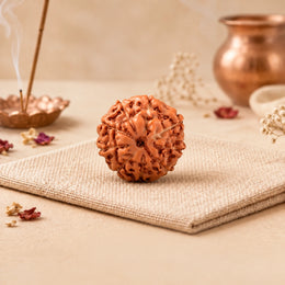 9 Mukhi Rudraksha (Indonesian)